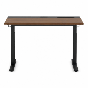 Modern Adjustable Standing Desk